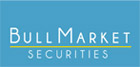 Bull Market Securities